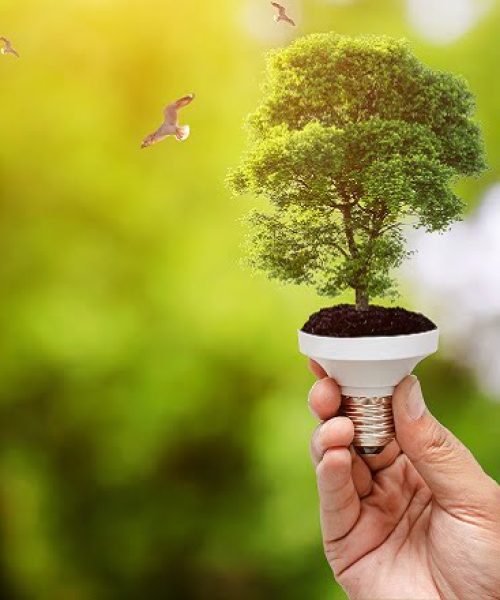 Recursos-Naturales-destacada