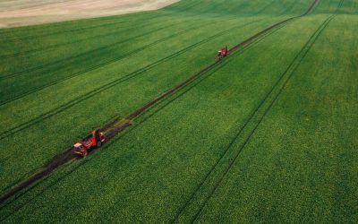 Aerial view of beet harvesters on the green agricultural field.