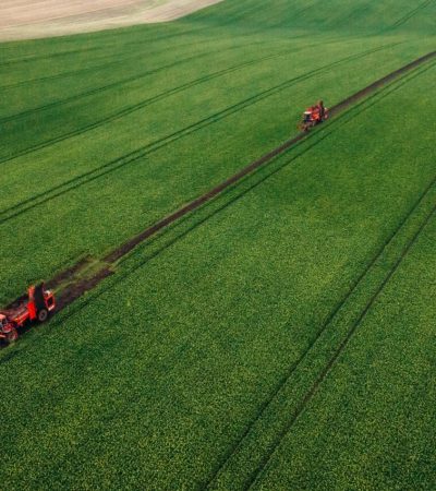 Aerial view of beet harvesters on the green agricultural field.