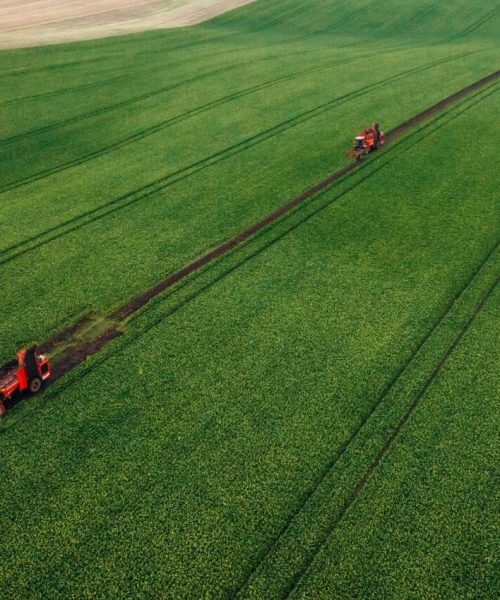 Aerial view of beet harvesters on the green agricultural field.