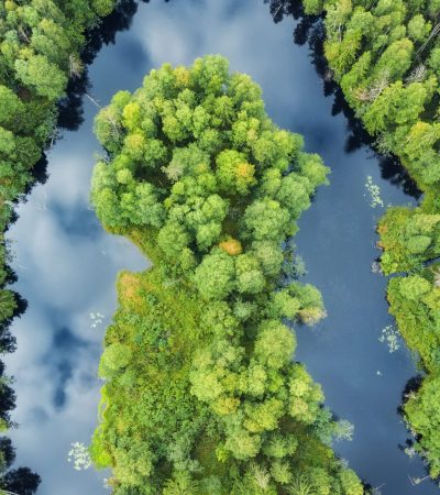 Aerial view on the forest and river. Beautiful natural landscape at the summer time