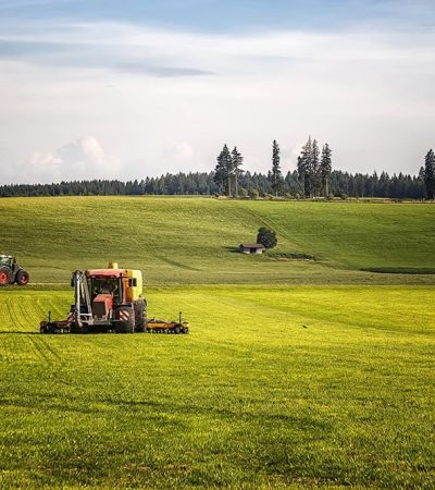 agroindustria-forestal