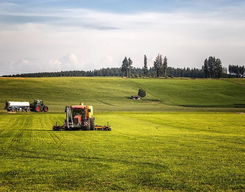 agroindustria-forestal