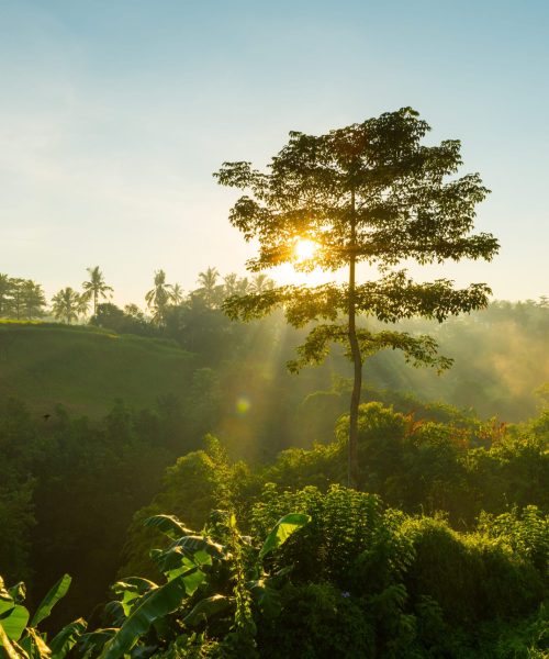 COP 16 Corporate Sustainability Reports COP 16 Corporate Sustainability Reports