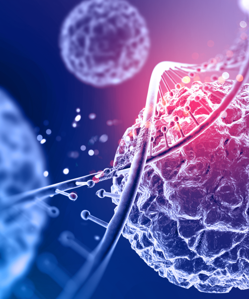 LA SOCIEDAD DE ONCOLOGÍA Y HEMATOLOGÍA DEL CESAR S.A.S. LA SOCIEDAD DE ONCOLOGÍA Y HEMATOLOGÍA DEL CESAR S.A.S.
