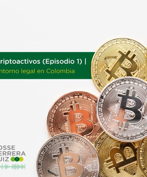 photo_2022-03-14 10.44.22