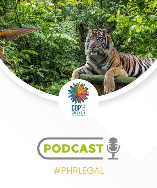 PHR COP 16 BANNER PHR COP 16 BANNER