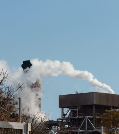 Decreto que reglamenta el Programa Nacional de Cupos Transables de Emisión de Gases de Efecto Invernadero (PNCTE)